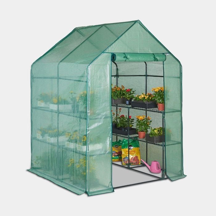 Deep Walk In Greenhouse