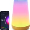 Wifi Smart LED Night Light Compatible with Alexa and Google Home