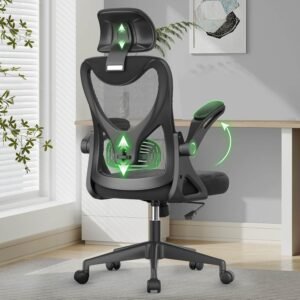 Ergonomic Desk Chair with Lumbar Support and Adjustable Headrest
