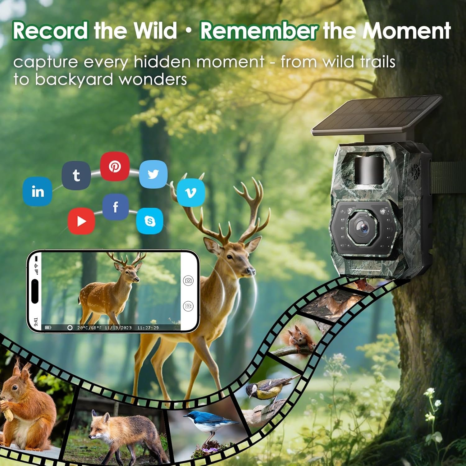 Waterproof Wifi Solar Trail Wildlife Camera - Image 9