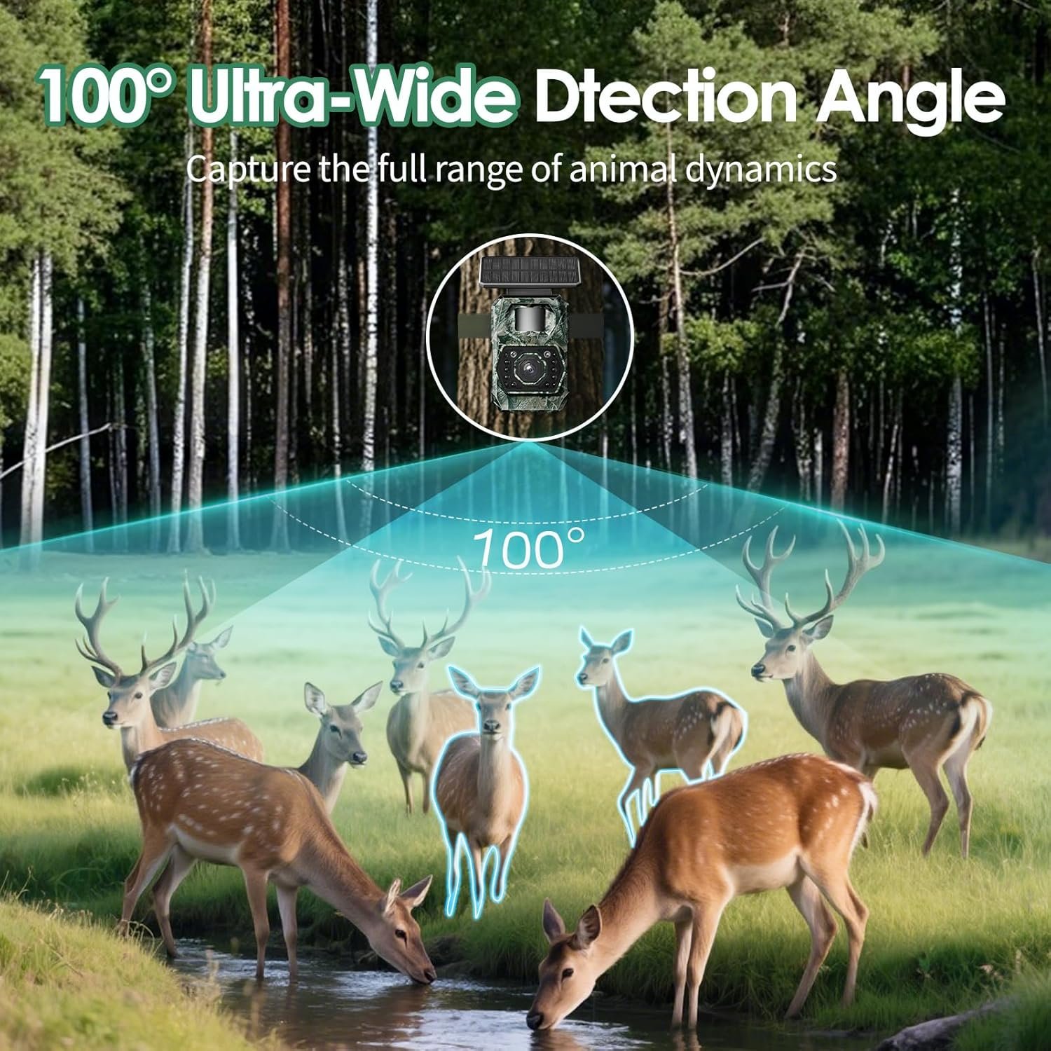 Waterproof Wifi Solar Trail Wildlife Camera - Image 6