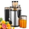 Whole Fruit and Vegetables Juicer Machine