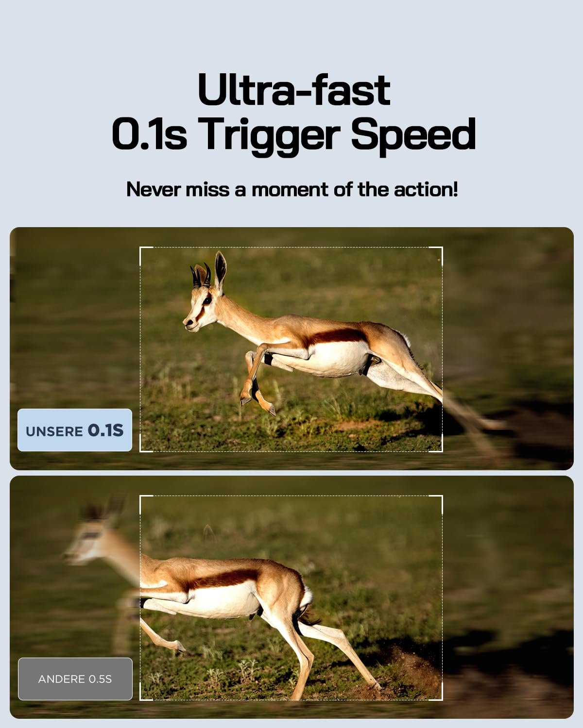4K Solar 48MP Wildlife Camera with Night Vision - Image 5